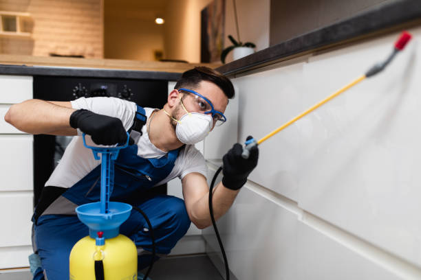 Best Emergency Pest Control  in Hampton, SC