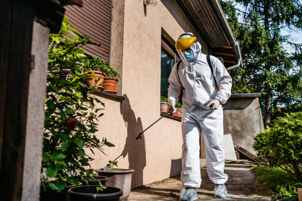 Best Mosquito Control Services  in Hampton, SC