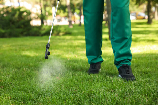 Best Bed Bug Extermination  in Hampton, SC