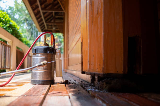Best Best Pest Control Companies  in Hampton, SC