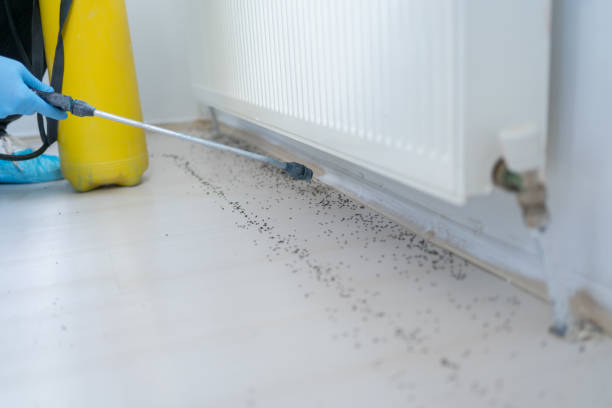Best Commercial Pest Control Services  in Hampton, SC