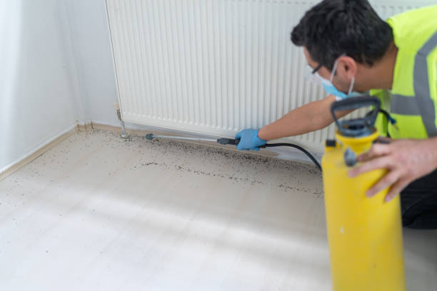 Best Pest Control Near Me  in Hampton, SC